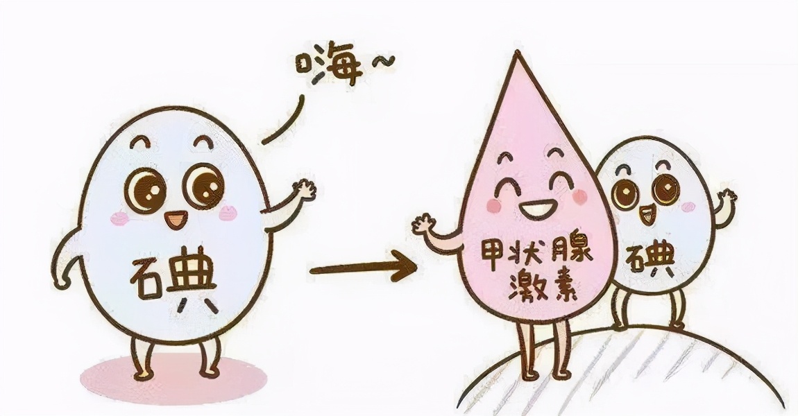 甲状腺少吃含碘的食物有哪些,为什么甲状腺不能吃碘量高的食物