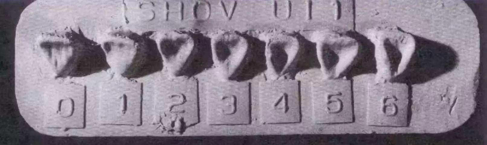 白人和黄种人宝宝肤色对比,白人和黄种人的孩子头发什么颜色