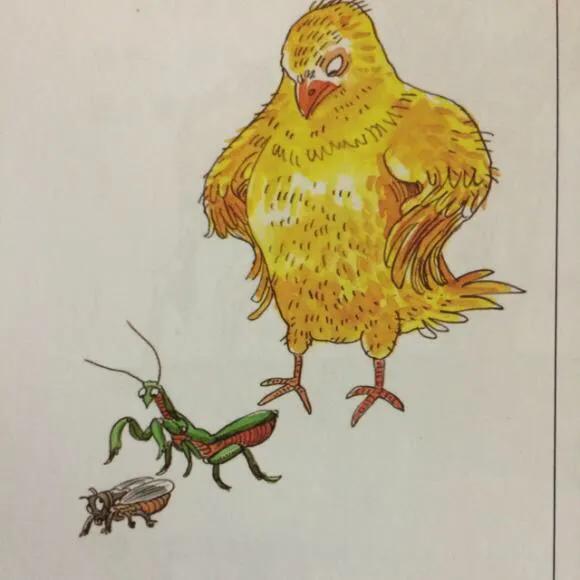 历史上的第一次打仗,历史上的第一次