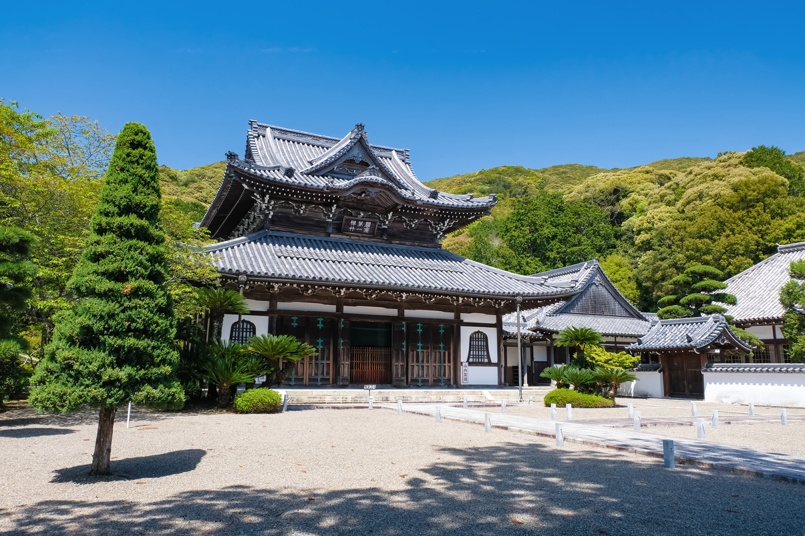 日本人常吃的发酵食物,日本发酵美食