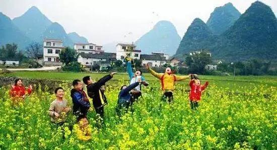 新型农业产业扶持政策,农业种植行业扶持政策