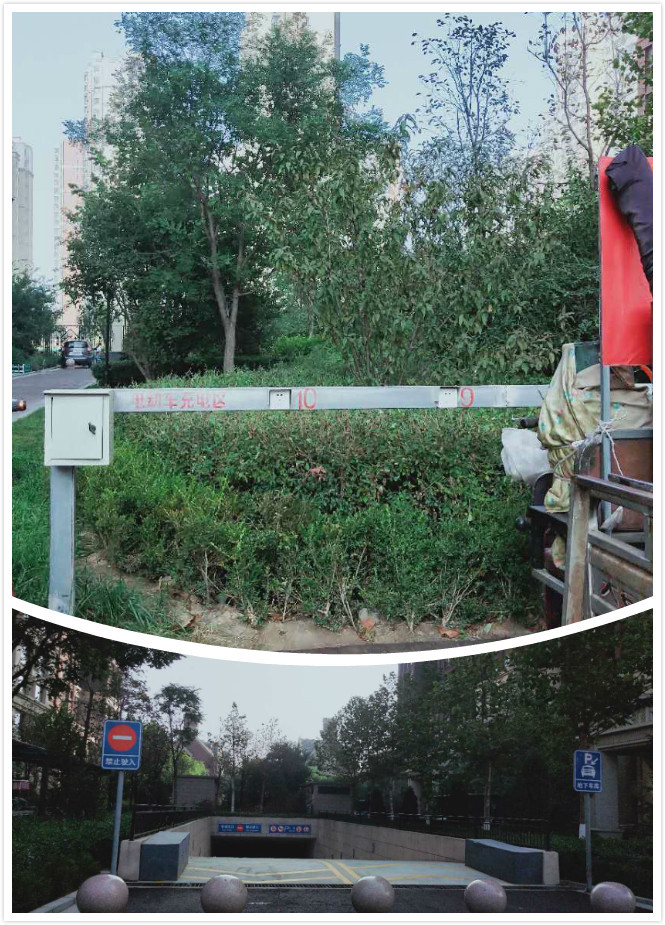 繁华林隐，野景初见——红石原著