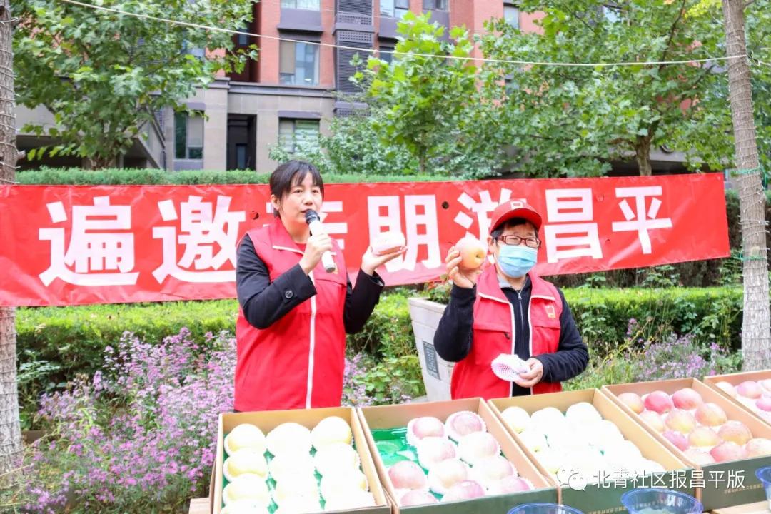 昌平本地苹果,北京昌平区苹果