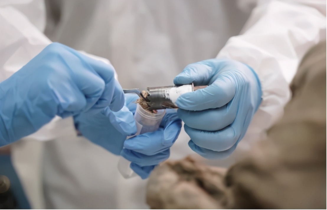 冰川融化史前病毒,北极冰层下史前病毒多可怕