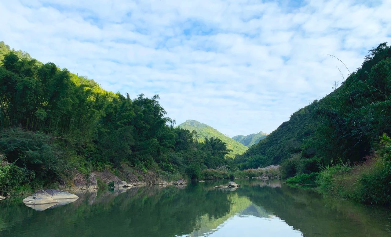 微物钓鱼vlog,蓝鲫微物