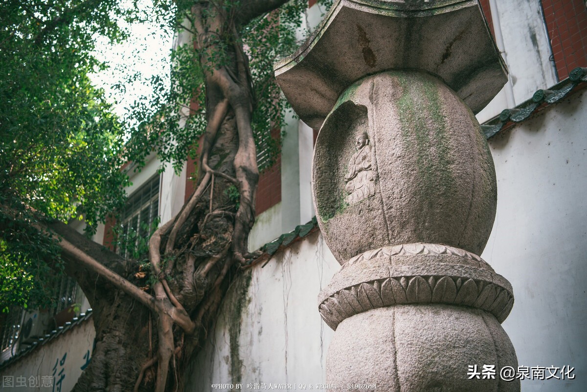 禅茶一味一禅味,禅茶一味铁观音