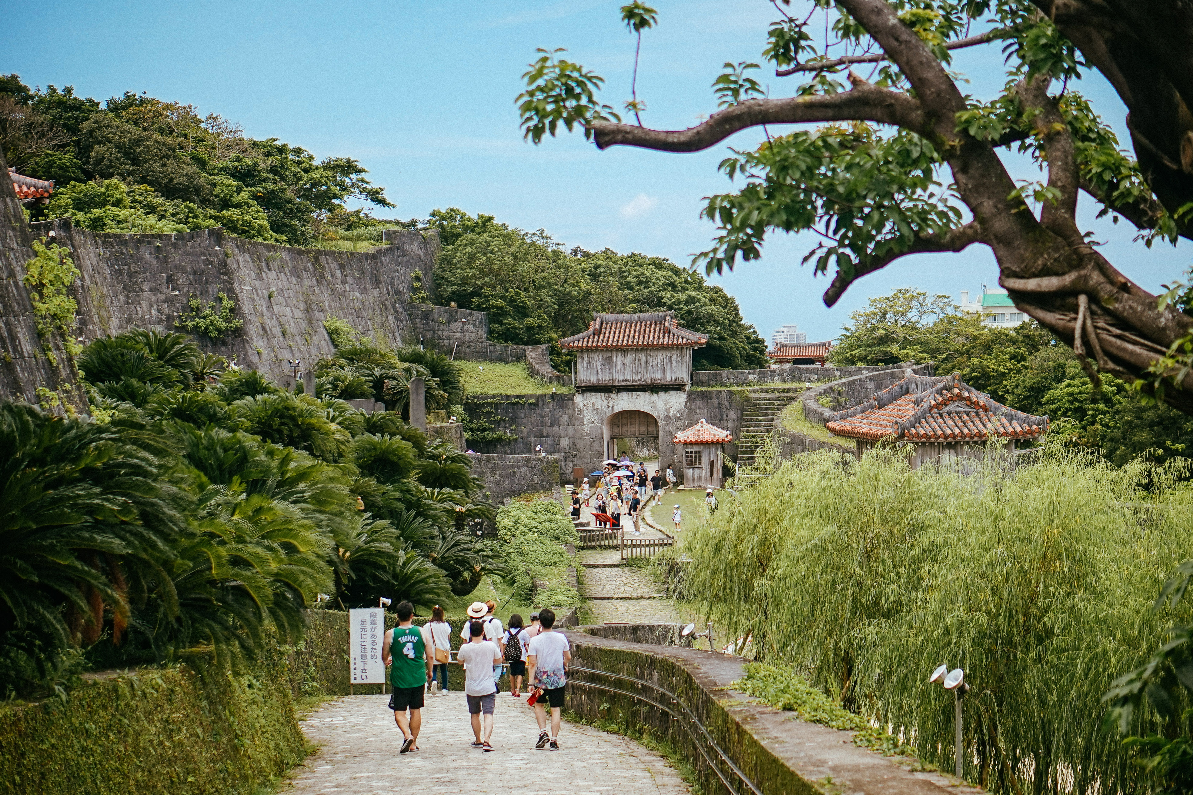 冲绳那霸必买的东西,冲绳那霸旅游购物攻略