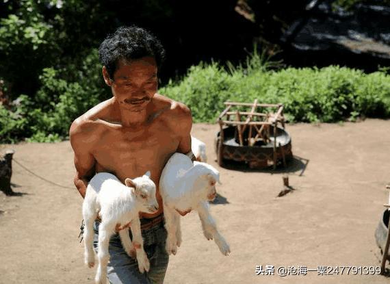幸灵,原文加译文(懂得上善若水的道理,达到与光同尘的境界)