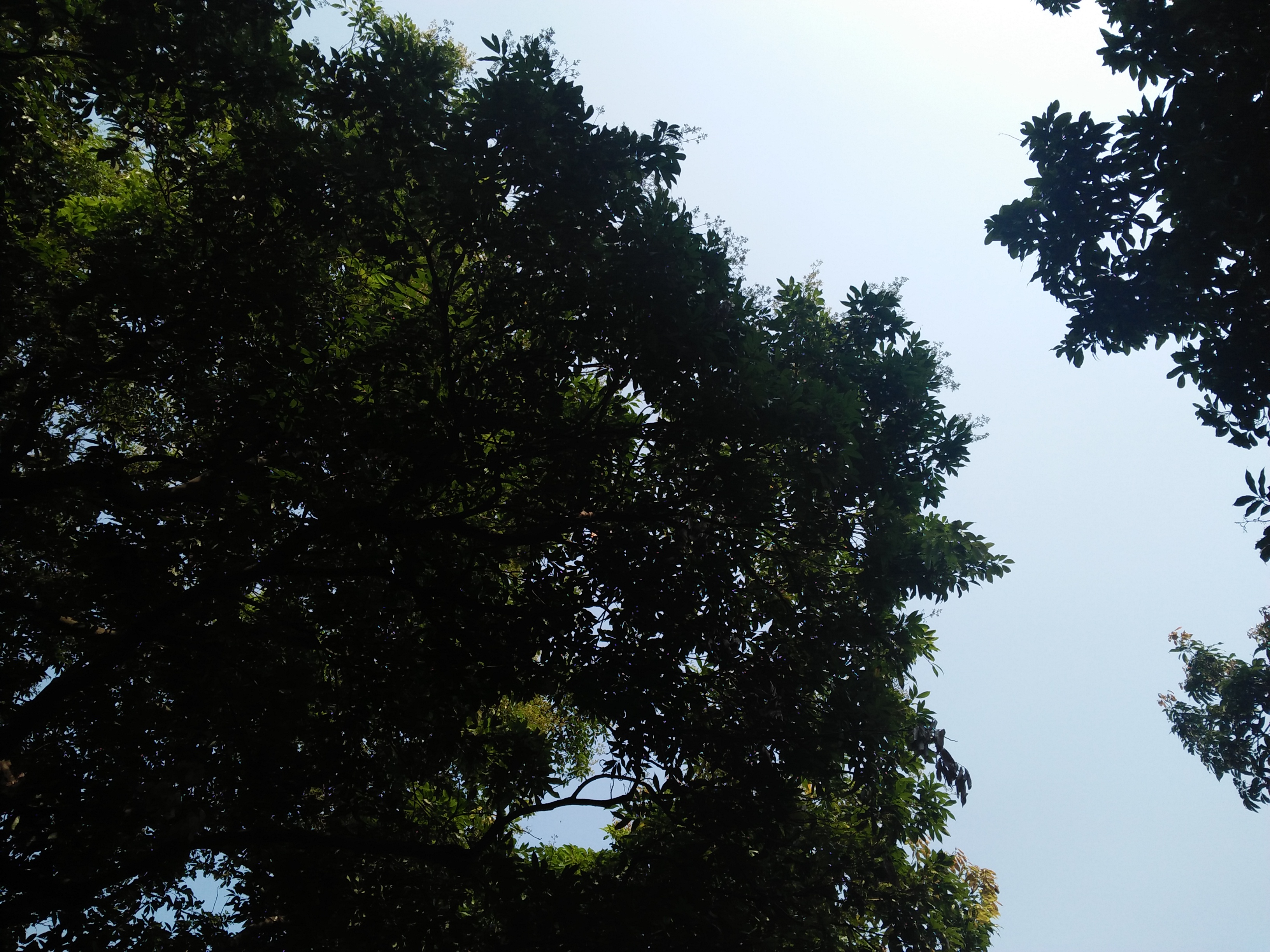 立春散文随笔,立春午后游记