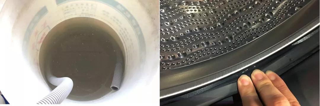 长时间不清洗的洗衣机有什么细菌,为什么放进洗衣机的衣服有霉菌