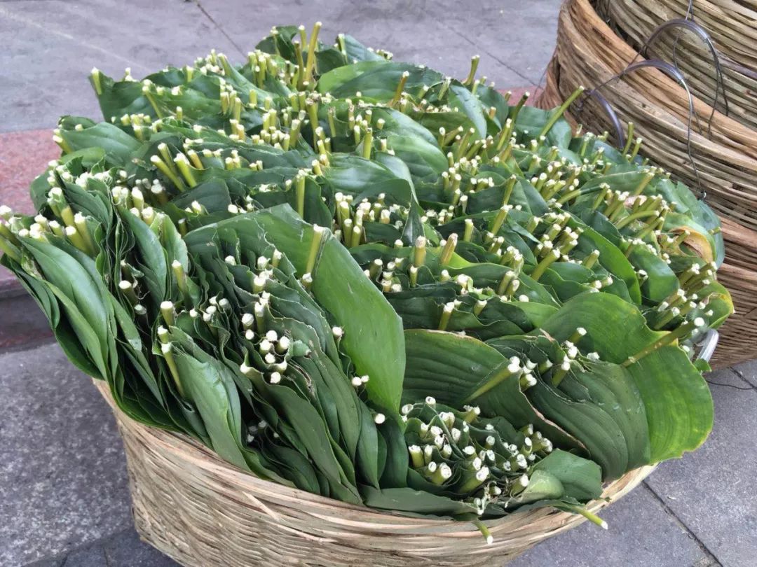 广西一家三口自驾游视频,一家三口游广西