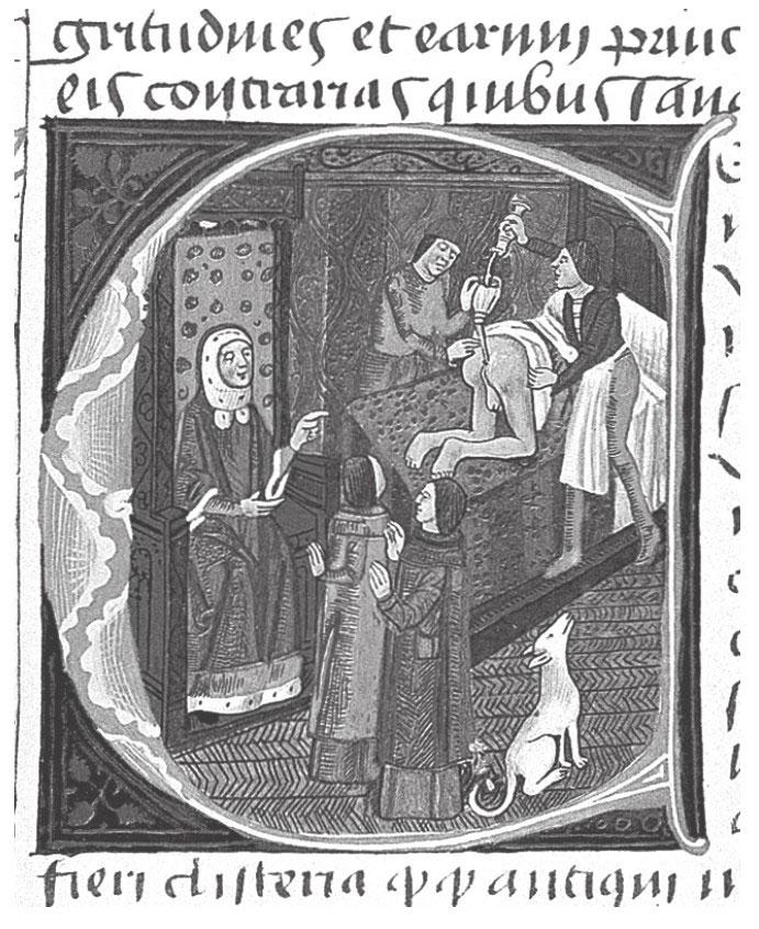 近代欧洲人曾将水蛭放入体内吸血——来治疗各种疾病