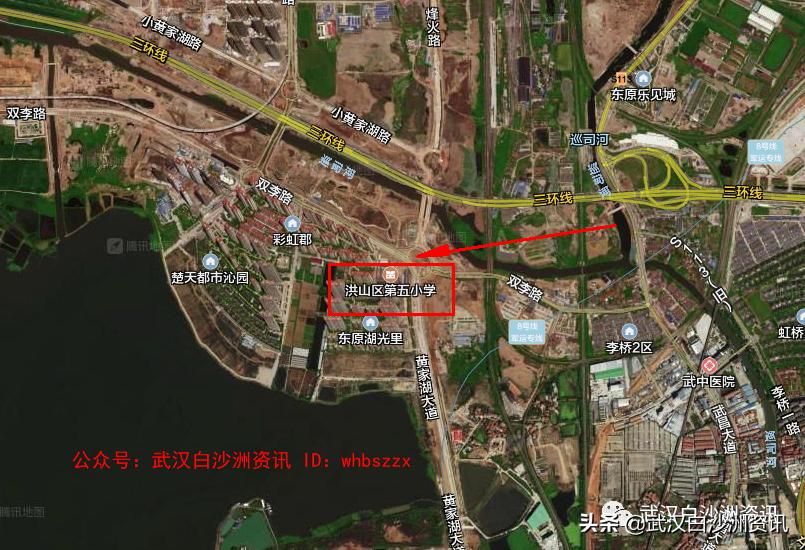 武汉武昌黄家湖小学,武汉黄家湖小学新消息