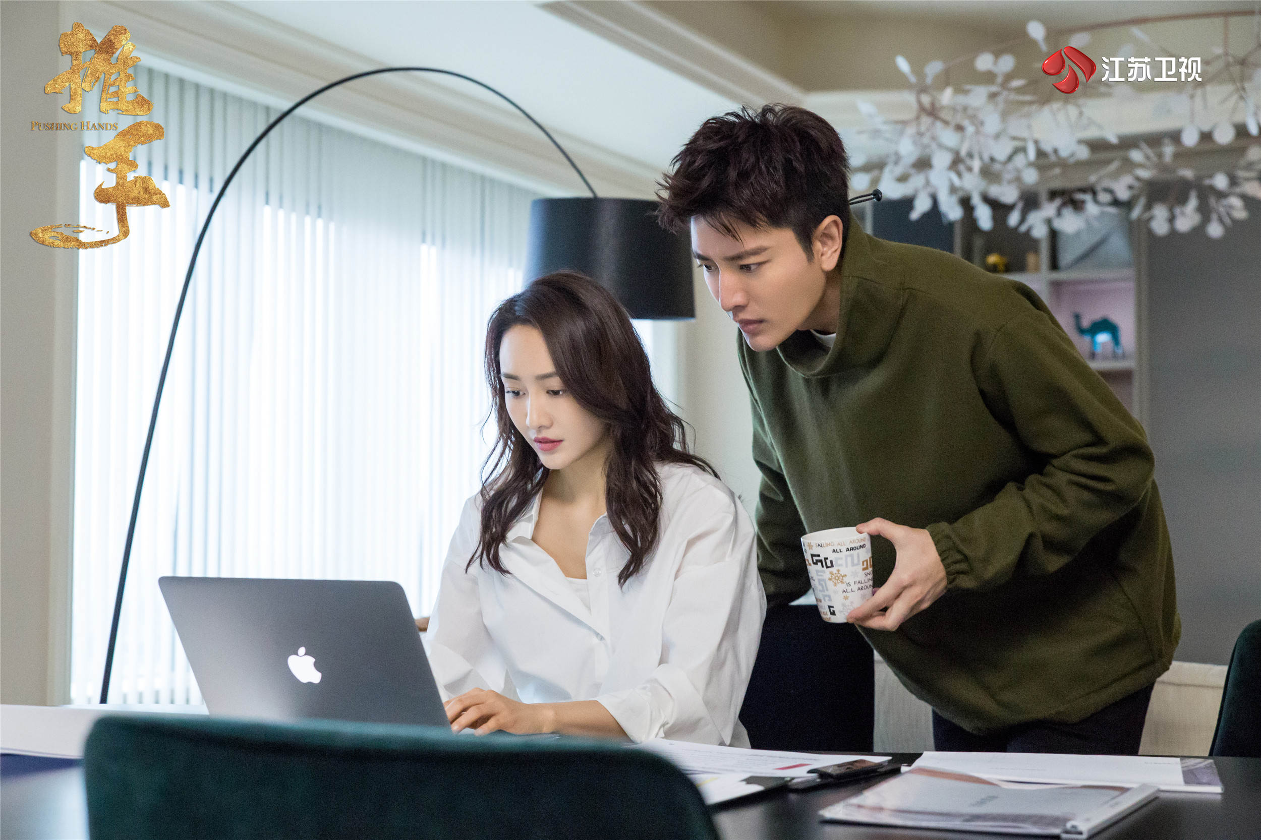 江苏卫视推手,推手电视剧江苏卫视直播