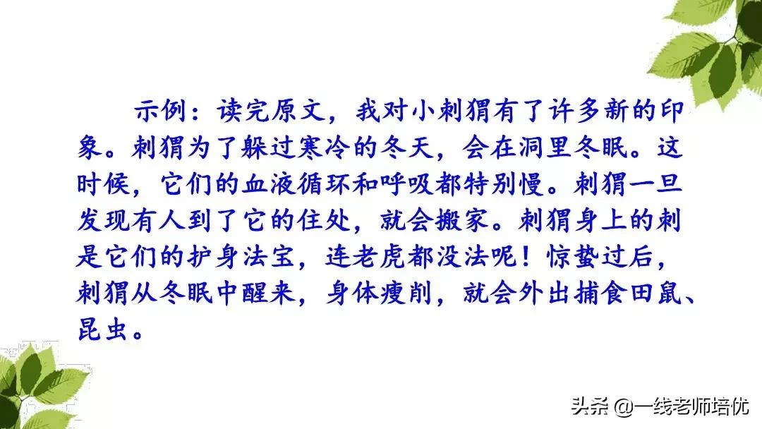 带刺的朋友三年级上册,三年级语文带刺的朋友课文知识点