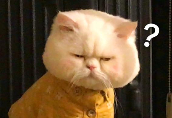 大牌平替值得买吗,大牌平替真的靠谱吗