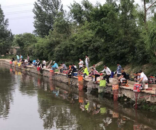 黑坑老板耍的“五个猫腻”别苦了钓鱼人