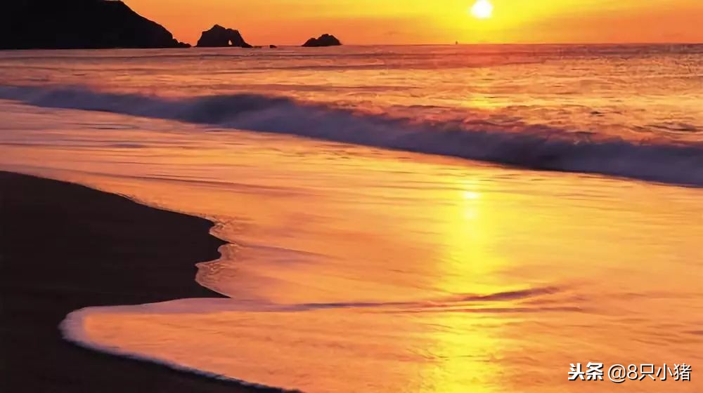 2023年lv哪款最流行,最新款lv在哪里上市