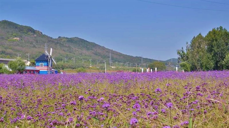大连铭湖牧场一日游攻略,大连铭湖牧场观光图片