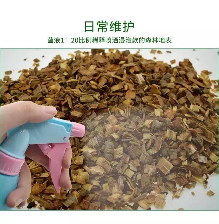 蛇类是怎么过冬的,饲养蛇类的方法是什么