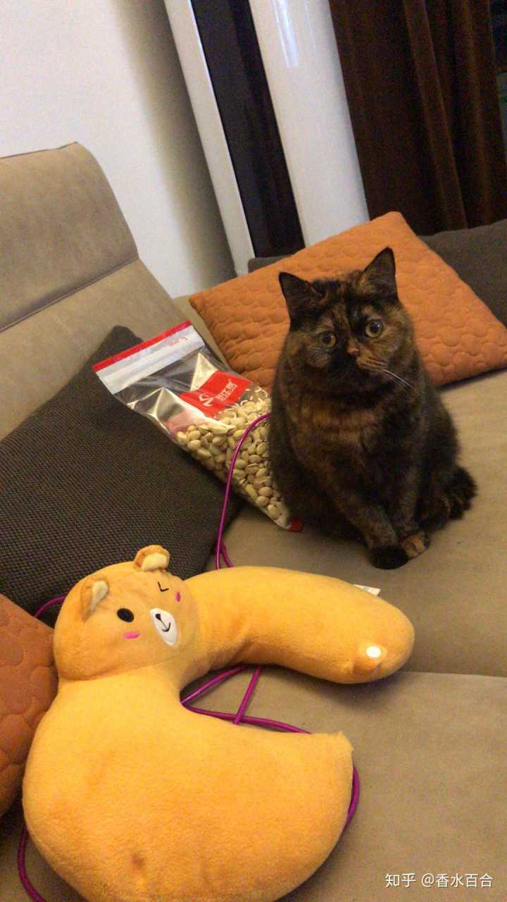 买了高层的人怎么样了,买了顶楼的房子后悔了吗