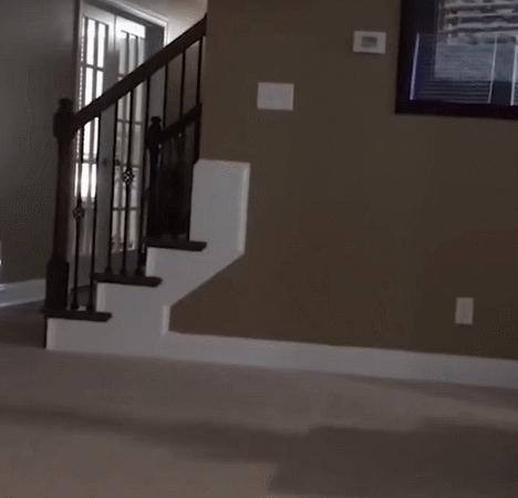 猫咪没坏心眼视频,猫咪没有坏心思在线阅读