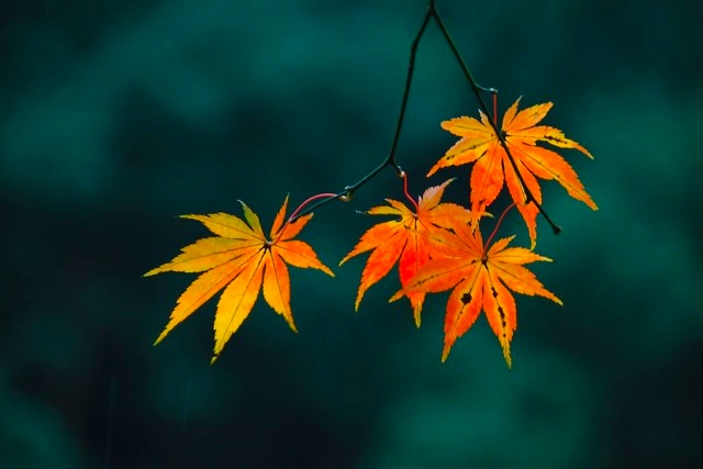 杭州最好的景点打卡排行榜,杭州萧山看飞机网红打卡点