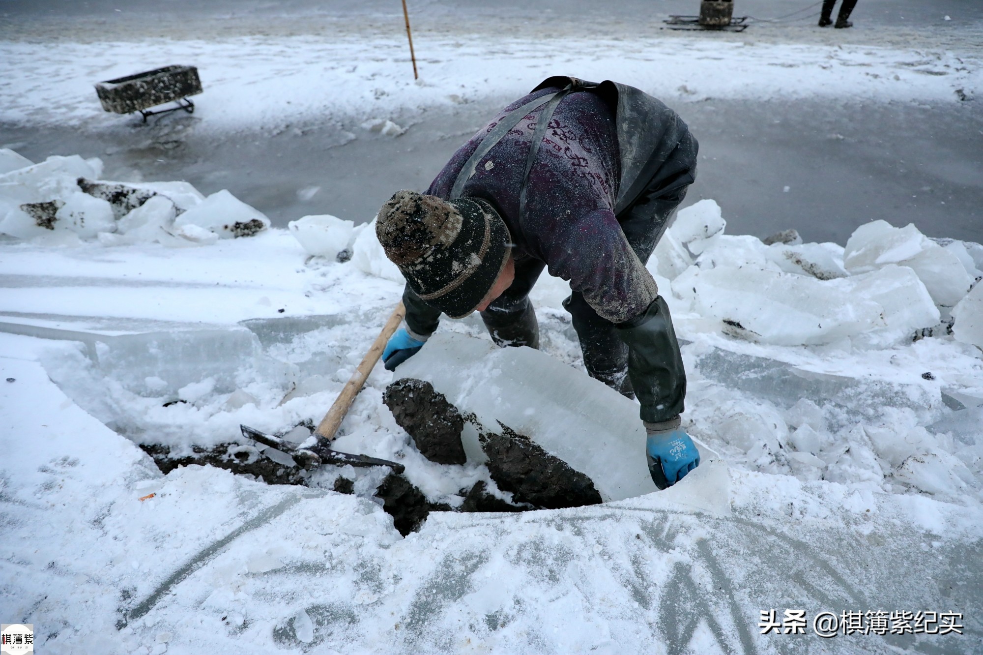 挖竹节蛏挣钱,赶海抓蛏子一天能赚多少钱