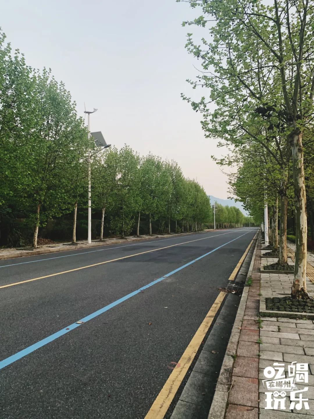 千岛湖100公里内游玩,来千岛湖看一场绝美日落