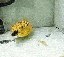 笑不停所有视频,笑不停完整版视频