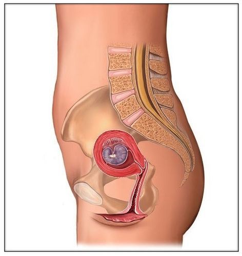 图解：10月怀胎，孕妇腹部的变化