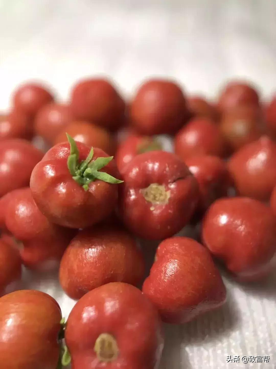 90后母亲被骗,90后妈妈因造假走红