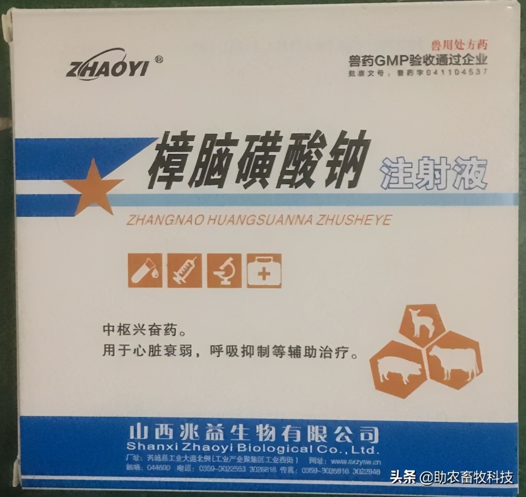 猪发热多少度时用药,猪低温375用什么药