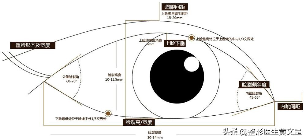 王世勇什么样的眼睛是美的,什么样子的眼睛才好看