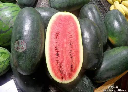 海南必吃十种水果图片名称,海南水果品种大全排名