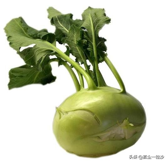 苏州吴江区美食推荐排行,苏州市吴江市中心美食推荐