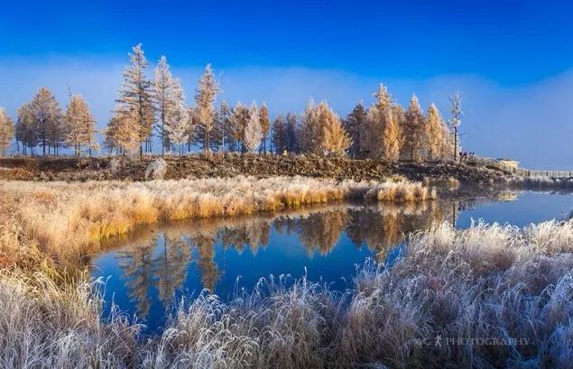 此生必去看一次雾凇太美了,此生必去看一次雾凇简直要美哭了