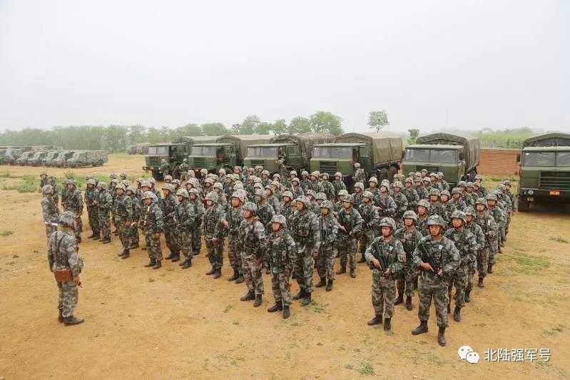 我是*用军**帐篷佩奇！一起来认识我的家族成员吧！