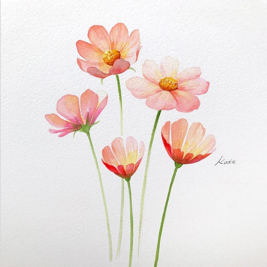 一分钟教你简单画花,简单的花卉图教程