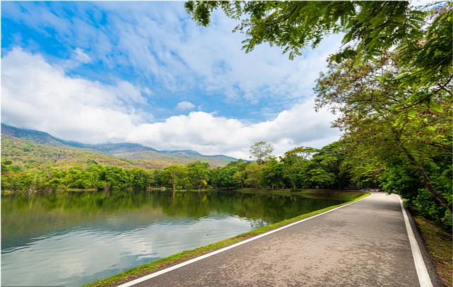 谢伦灿谈文化创新,谢伦灿谈文化价值