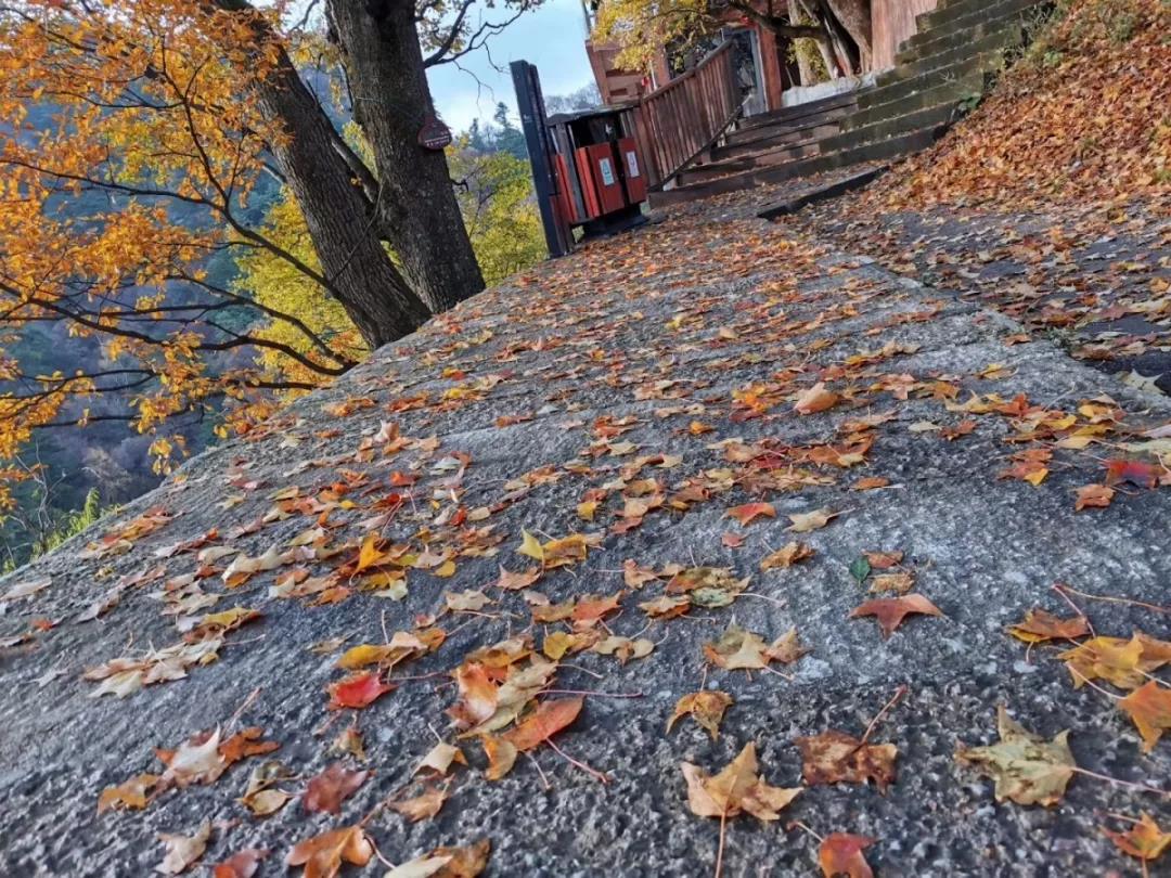 华山景区路线最新通知,华山景区运营时间调整