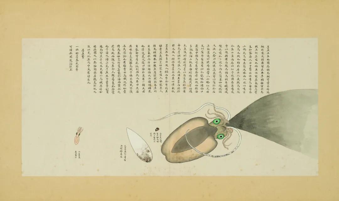 世界那么大我想去看看读书笔记,世界那么大我想去看看古诗