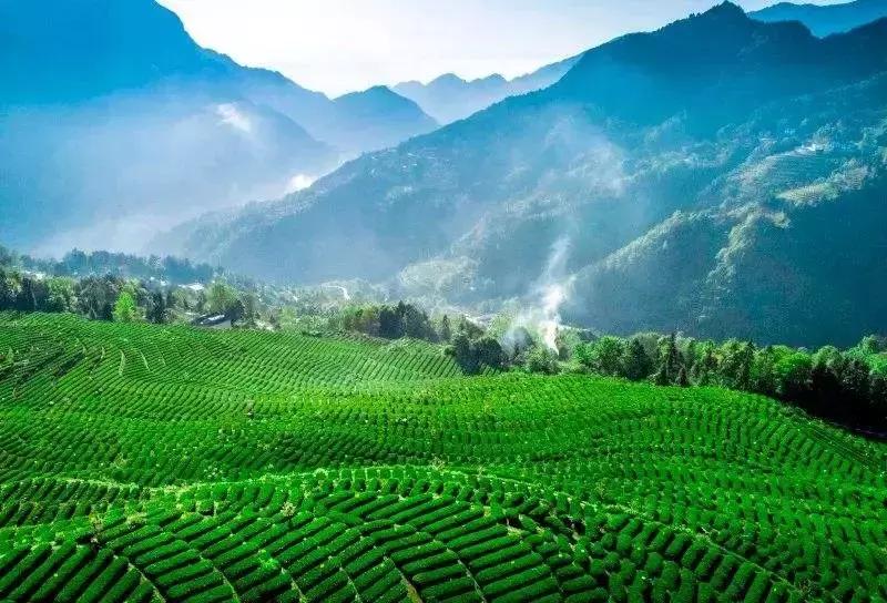 湖北38座城市公园数量排名,湖北有多少园林城市