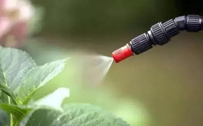 打了除草剂喷雾器怎么清洗,打过草甘膦的喷雾器如何清洗