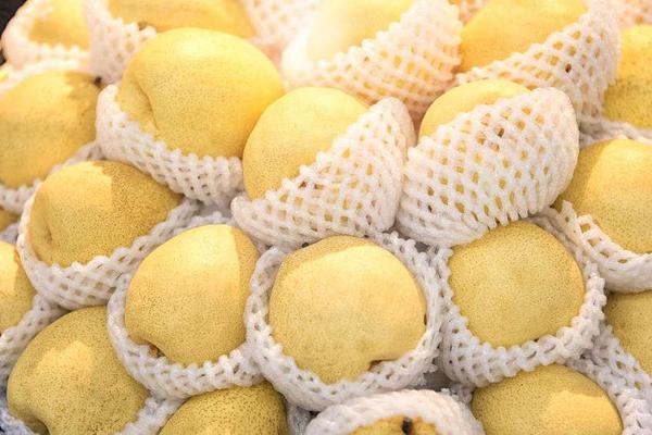 阳虚上火喝什么茶去火,适合秋冬喝的润燥去火茶