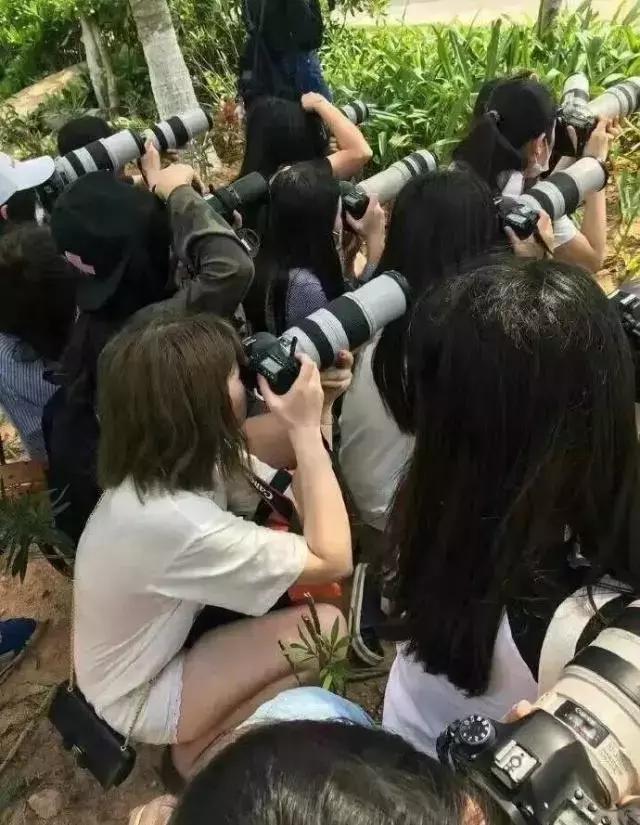 上山下海，无所不能，奋斗在追星第一线的“站姐”挑战各种不可能