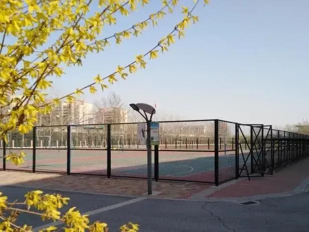 天津市瑞景中学录取分数线,天津市瑞景中学高中视频