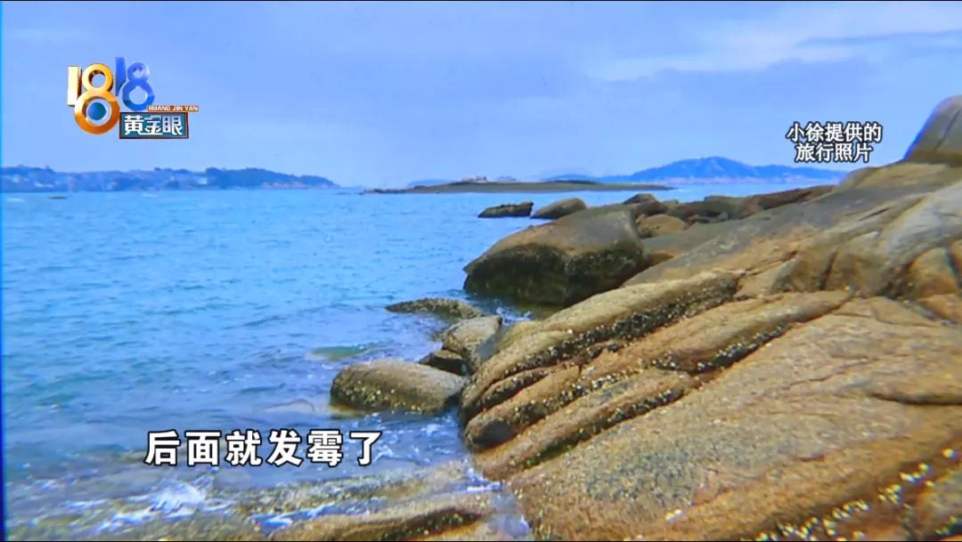 gucci内置水洗标去掉是正品吗,gucci洗后发黄