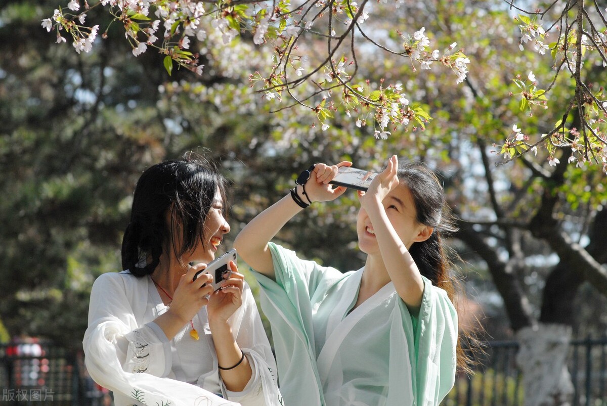 100种常见园林图鉴,列举20类不同的园林花卉