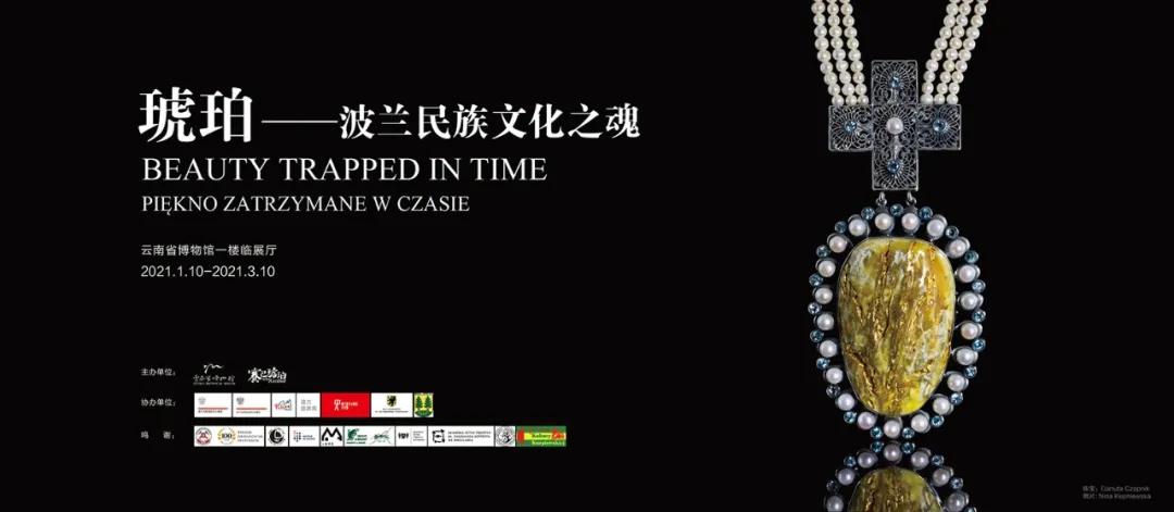 昆明动物博物馆免费开放时间,昆明博物馆和云南博物馆哪个好